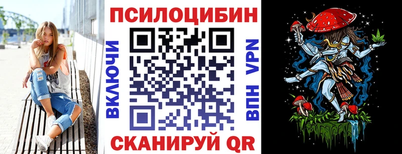 даркнет сайт  Георгиевск  mega как войти  Псилоцибиновые грибы Psilocybe 