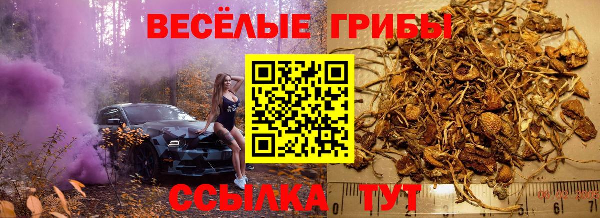 Георгиевск  Галлюциногенные грибы ЛСД  Вход с VPN 